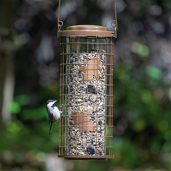 COPPER SQUIRREL STUMPER WILD BIRD FEEDER - Image 2