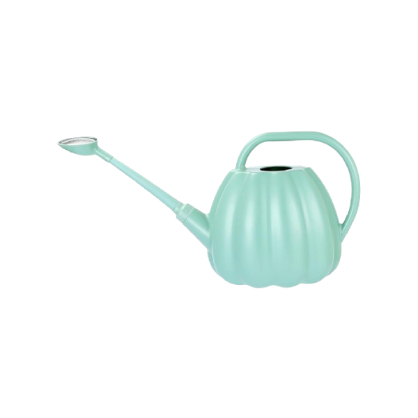 PLANT WATERING CAN WITH SPRINKLER HEAD
