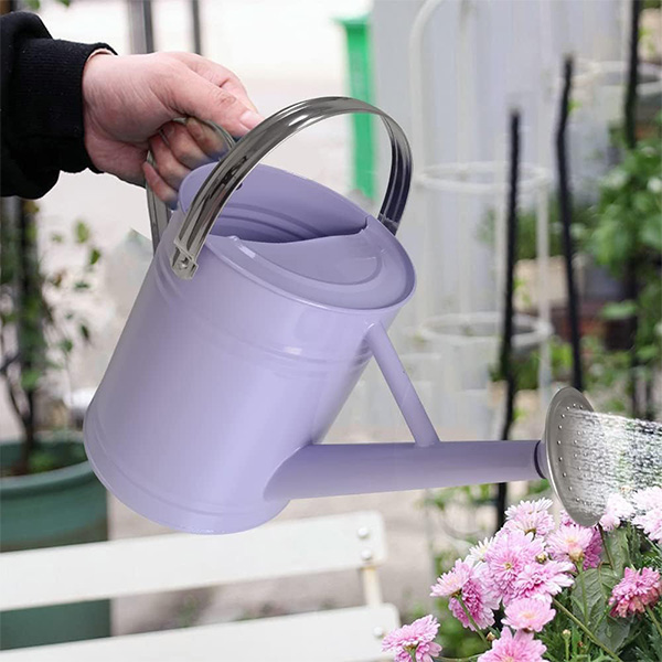 PURPLE ALLOY STEEL WATERING CAN - Image 4