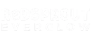 New Project
